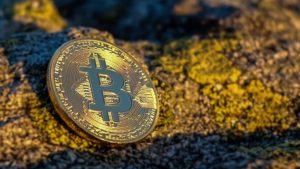 Have Bitcoin Slots Reshaped The Casino Gaming Industry?